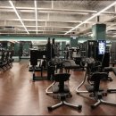 얼라이브 피트니스 이미지