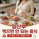 대구염소유통 | 임산부 먹으면 안 되는 음식, 회·육회·치즈부터 카페인까지 확인