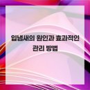 백세치과의원 이미지