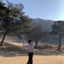 한림용인 이미지