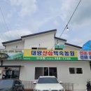 부여cc 근처 맛집 대왕산삼백숙농원 - 골프 후 보양식 한 그릇