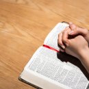 선산읍교회 이미지