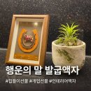 행운생활용품 | 말굽 액자 집들이 선물 추천 현관에 두기 좋은 행운 풍수 인테리어