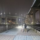 영도마리노오토캠핑장 | 부산 도심 속 감성 캠핑, 영도 마리노 오토캠핑장 후기