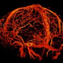 박용식신경과의원 이미지