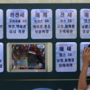 박형기부동산
