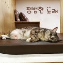 그린 유통사 이미지