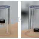 ㈜와이팜 이미지