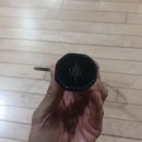 난타(중급) | [배드민턴 라켓] 셔틀콕 맛집 '닉텐'의 새로운 도전! 신상 라켓 '볼트스트라이크' 4U/5U 솔직 시타기