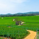 대조농장 이미지