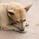 광제약국 이미지