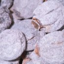 소은농장 이미지