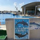 물속풍경수족관 - 당진시 서부로 39-5 | 오키나와 츄라우미 수족관, 야외 돌고래 쇼 후기