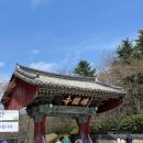 [경주 여행 2박 3일] 불국사/황리단길/월정교/경주중앙야시장/우드포토 2일차 및 3일차 코스 추천