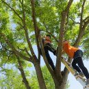 성수초등학교 이미지