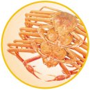 대게