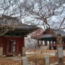 비둘기집 민박 네이버블로그