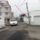 덕진-50 이미지