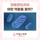 지영유외과의원 이미지