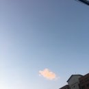 카페마인드