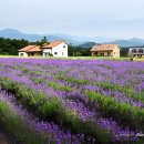 그날농장 이미지