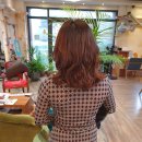 더힐링스헤어살롱