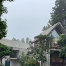 채우다,제주 이미지