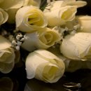 경희행복 한약국 이미지