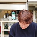 리에브르 이미지