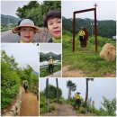 넙치민박 이미지