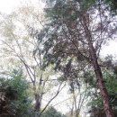 월영동147 이미지