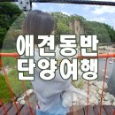 강산슈퍼 | 단양 여행 코스-단양구경시장, 단양팔경, 도담삼봉, 중선암, 사인암, 애견동반펜션 강아지와 여행...