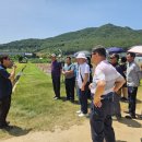 군위(부산) 이미지