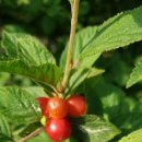 이수 행정사사무소 이미지