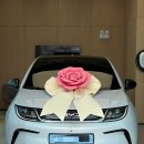보람전기 - 진도군 십일시길 24 | “청주 BYD 돌핀” 33호 출고기 초보운전자 추천 전기차 후기