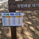 비자림의 아침 이미지