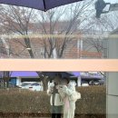 홍도해물탕 | 데이트] 안양 정관장 vs 울산 현대모비스 농구 후기 안양 농구장 후기 / 버터비버 카페, 홍도해물탕,,♥