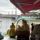 성주문화예술회관 | [경북/성주] 황금식당 성주문화예술회관 근처 한식 맛집