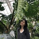 야생동물 멸종위기 친구들을 구해줘 | 충남 서천여행지 볼거리가 많은 국립생태원 에코리움 후기