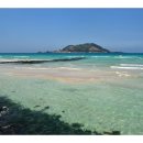 제주의 추억 이미지