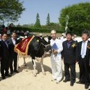 형규목장 이미지