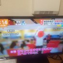 스노우볼링