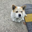 고령LPG충전소 이미지