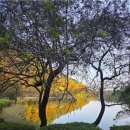 용소사계절 | 기장 용소웰빙공원｜힐링 산책을 원한다면 무조건 추천!