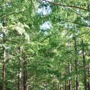 황토메타길 이미지