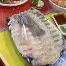 빠박이껍데기 | [인천] 빠박이네, 통영충무김밥 | 소래포구 종합어시장 새우소금구이 모듬회 대게 가격 내돈내산