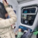 관정(2-20) | 아기랑 서울대 캠퍼스 나들이, 단풍 산책부터 샤로수길 인도 맛집까지 (feat. 아마 샤로수길점)