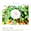 2020-주132 네이버블로그