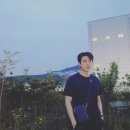 버티칼월드 이미지