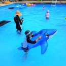 백합펜션 이미지